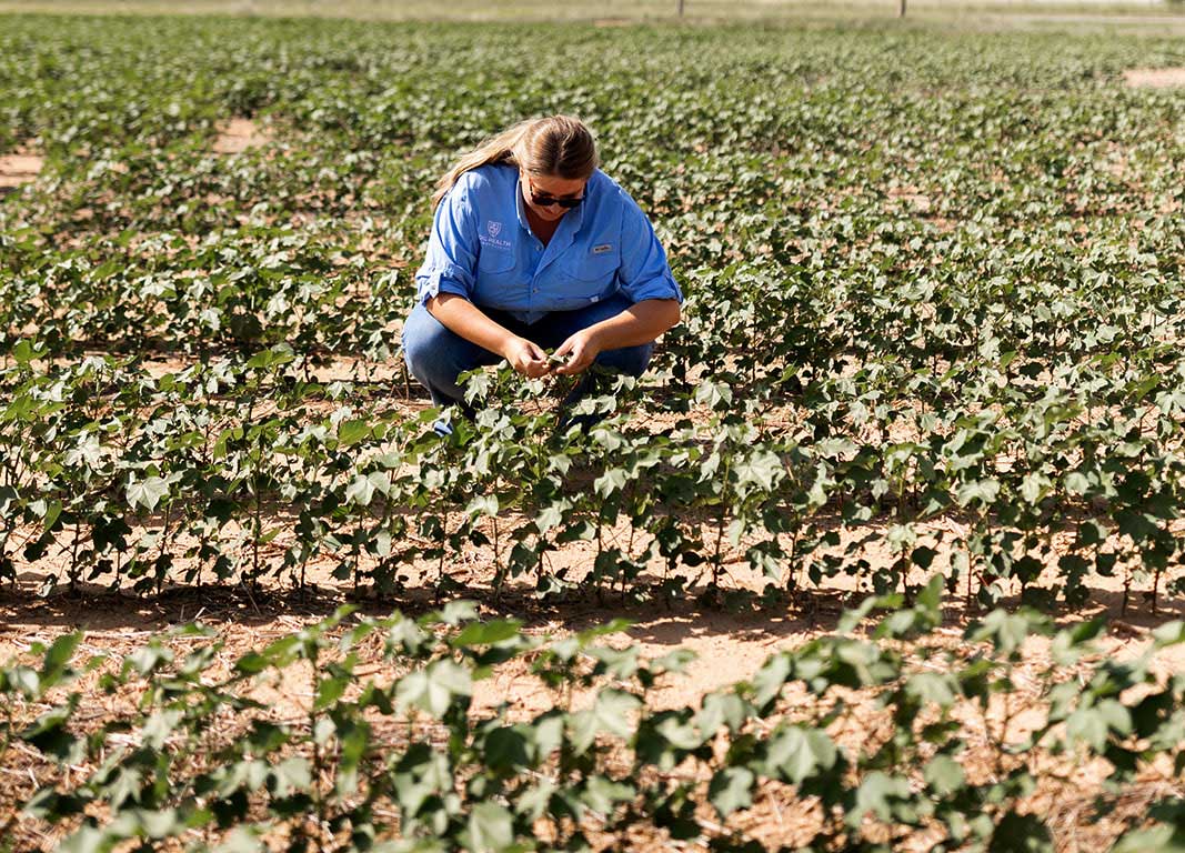 Better-Cotton-295.jpg
